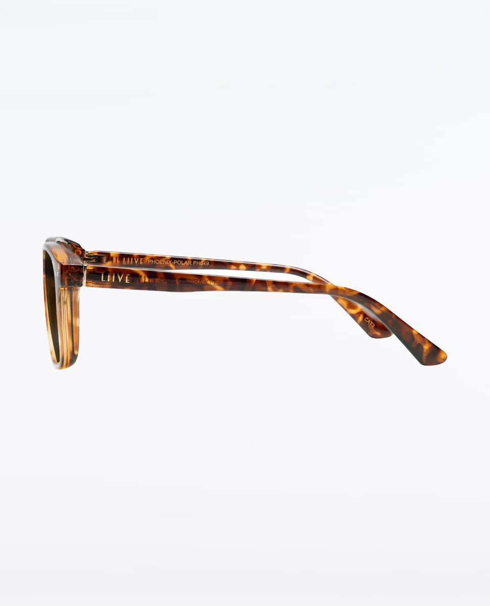 Phoenix Sunglasses - Image 2