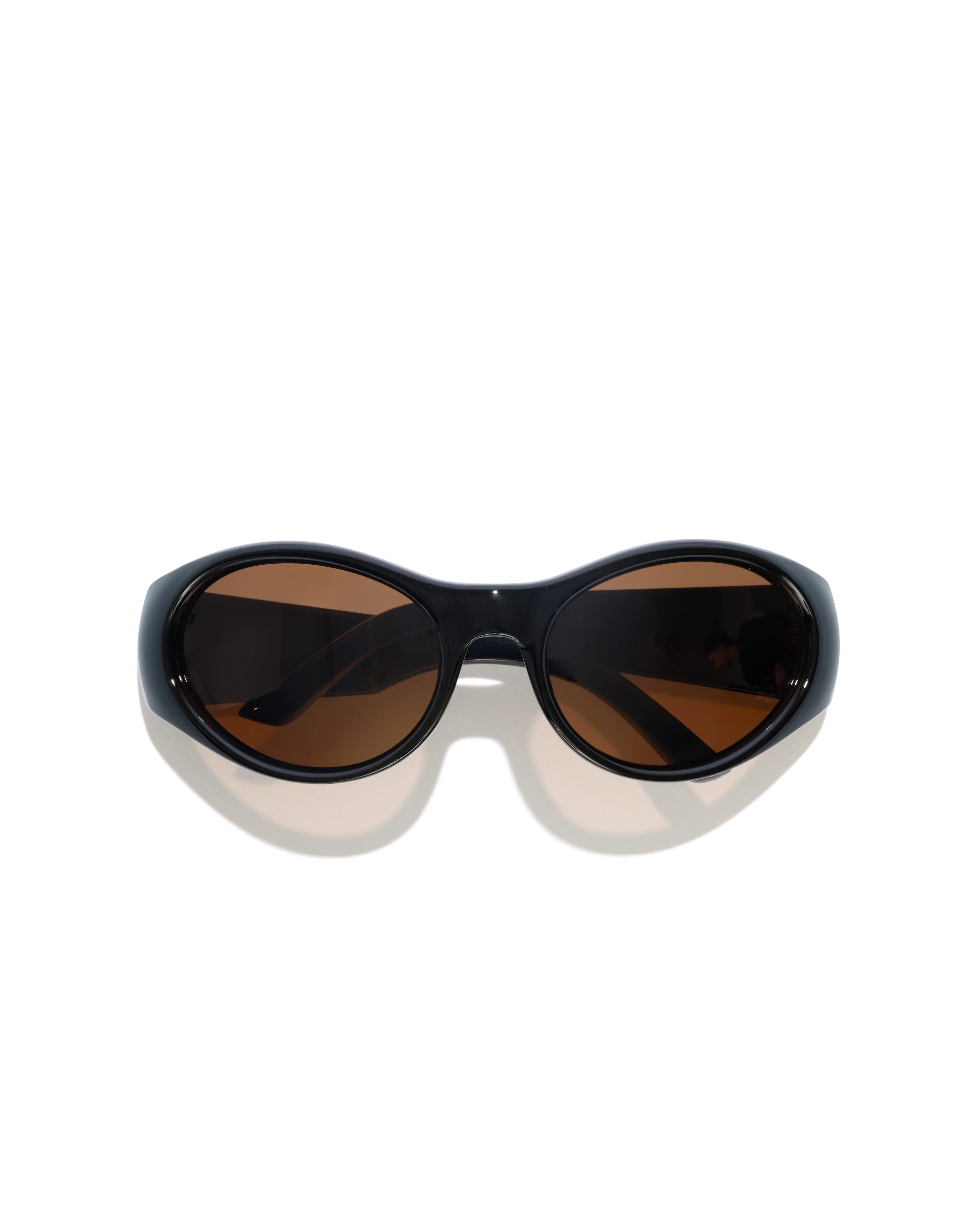 Stinkbug Polished Sunglasses - Image 5